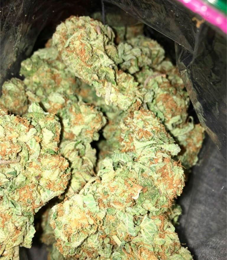 Семена сорта Afghan Cow fem (Dr. Krippling Seeds) Семена сорта Afghan Cow fem (Dr. Krippling Seeds) — изображение 3