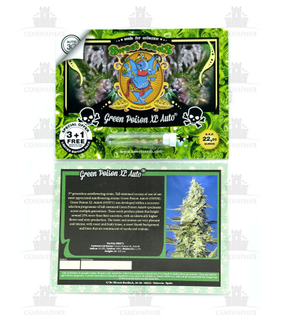Green Poison XL Auto fem (Sweet Seeds) Green Poison XL Auto fem (Sweet Seeds) — изображение 3