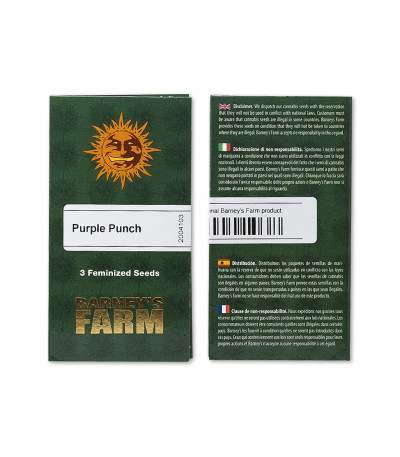 Purple Punch fem (Barney's Farm) Purple Punch fem (Barney's Farm) — изображение 2