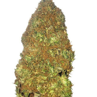 Jackpot Auto fem (Heavyweight Seeds) Jackpot Auto fem (Heavyweight Seeds)