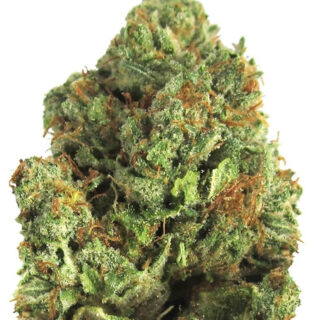 Midnight Mass fem (Heavyweight Seeds) Midnight Mass fem (Heavyweight Seeds)