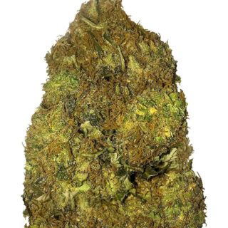 Skunky Monkey Auto fem (Heavyweight Seeds) Skunky Monkey Auto fem (Heavyweight Seeds)
