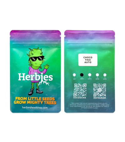 Сорт Choco Thai Auto fem (Herbies Seeds) Сорт Choco Thai Auto fem (Herbies Seeds) — изображение 2
