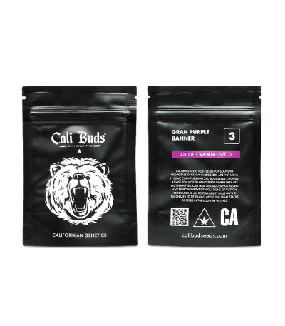 Сорт Gran Purple Banner Auto fem (Cali Buds Seeds) Сорт Gran Purple Banner Auto fem (Cali Buds Seeds) — изображение 2