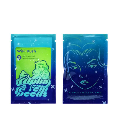 Сорт WiFi Kush fem (AlphaFem Seeds) Сорт WiFi Kush fem (AlphaFem Seeds) — изображение 4