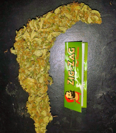 Сорт Big Bang fem (GHS) Сорт Big Bang fem (GHS) — изображение 6