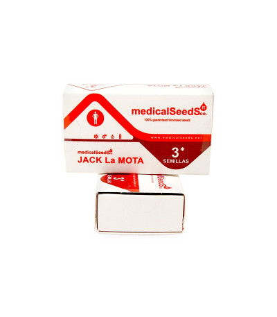 Сорт Jack La Mota fem (Medical Seeds) Сорт Jack La Mota fem (Medical Seeds) — изображение 3