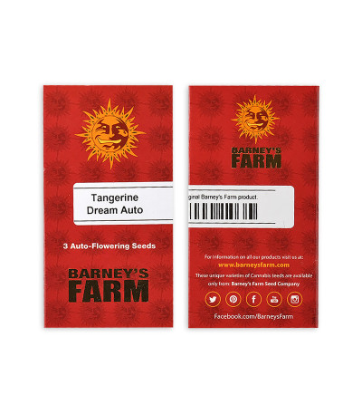 Сорт Tangerine Dream Auto fem (Barney's Farm) Сорт Tangerine Dream Auto fem (Barney's Farm) — изображение 2
