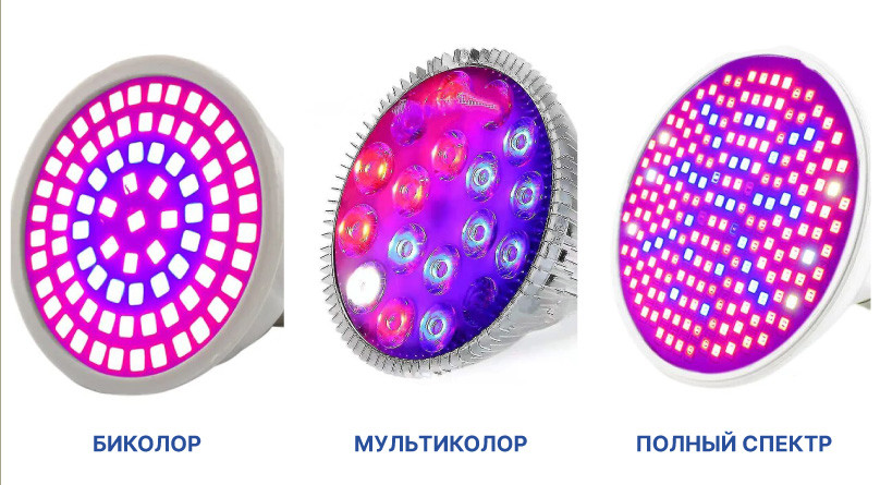 Использование светодиодных светильников для гровинга